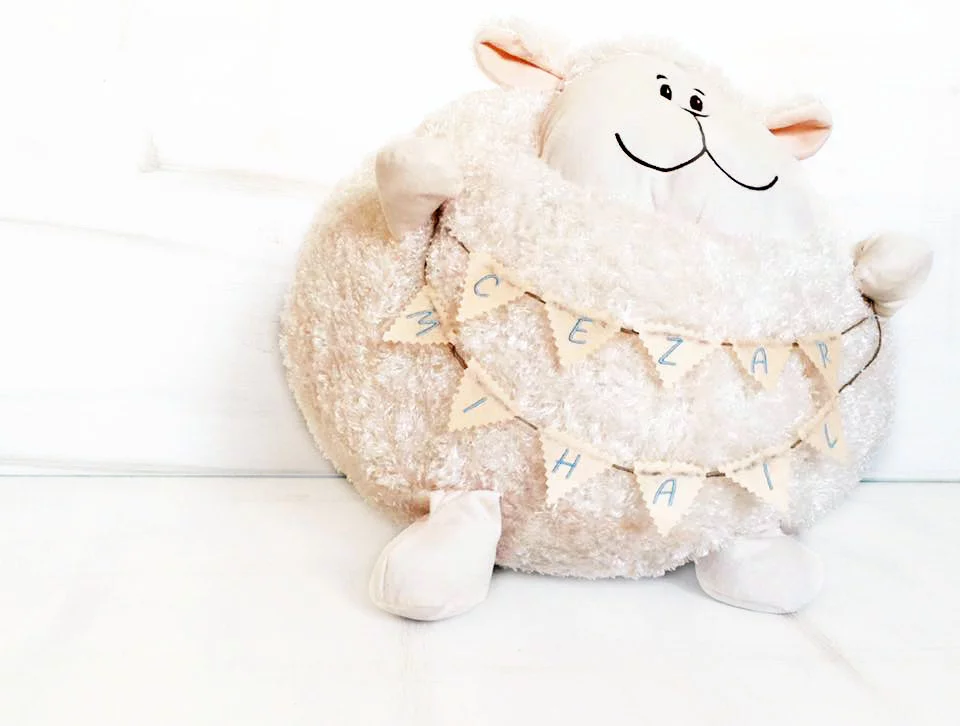 Oita Nazdravana jucarie personalizata - imagine 3