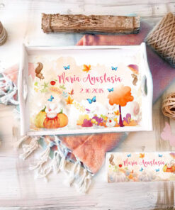 Tava mot si cutiuta prima suvita - Set 1 An Iepuri de toamna