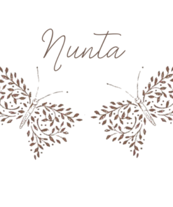 Decoratiuni Nunta