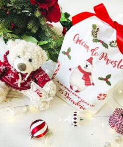 Cadou personalizat Craciun copii- Sacul Ursuletului