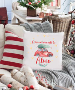 Perna Masinuta Craciun