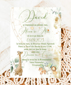 Invitatii Botez Harta Stelelor Jungla Set 10 bucati