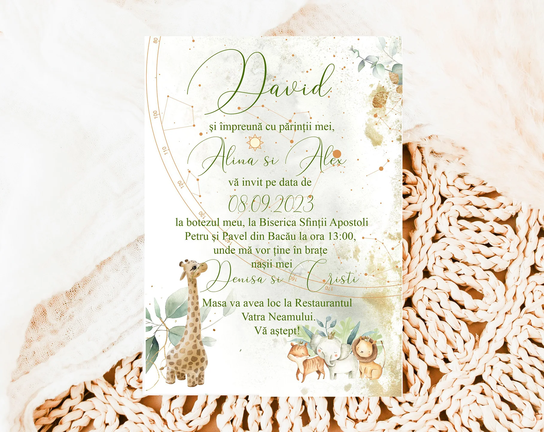 Invitatii Botez Harta Stelelor Jungla Set 10 bucati