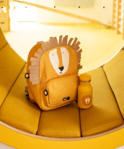 Sticla de Apa Copii Personalizata Domnul Leu