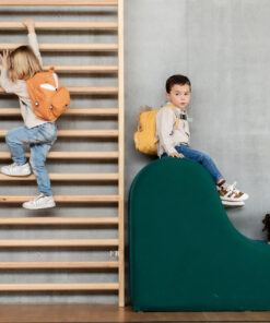 Alternative view of Ghiozdan Personalizat Domnul Vulpe