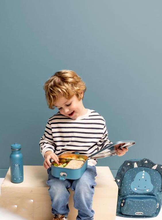 Lunch Box Personalizat Copii Domnnul Triceratops - imagine 3