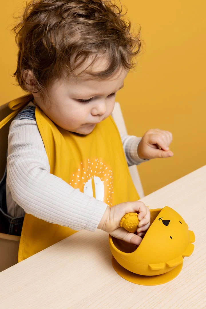Primul meu set de masa Bebe- domnul Leu